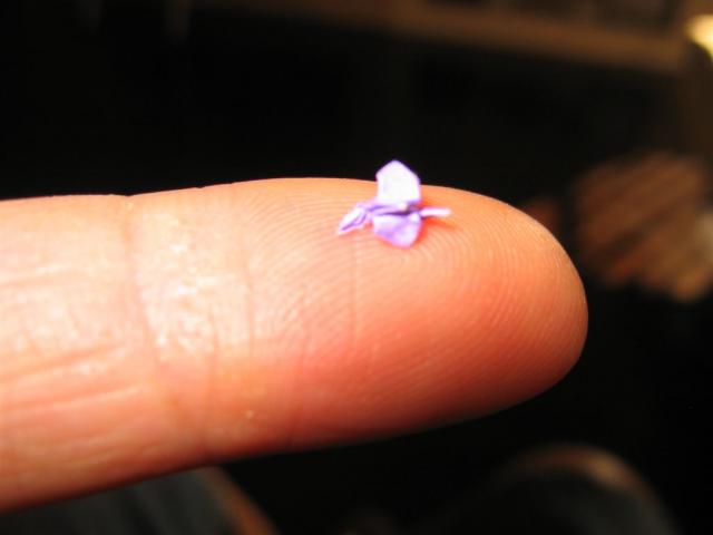 World's smallest crane (unofficial)